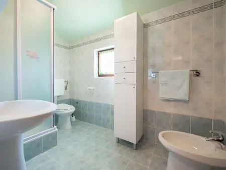 Maison jumelée avec piscine à Milotići, près de Tinjan : photo 5