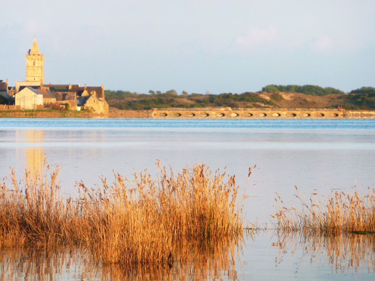 Le Pré Salé, maison 8 pers. à Portbail, 2 km mer - Photo 12