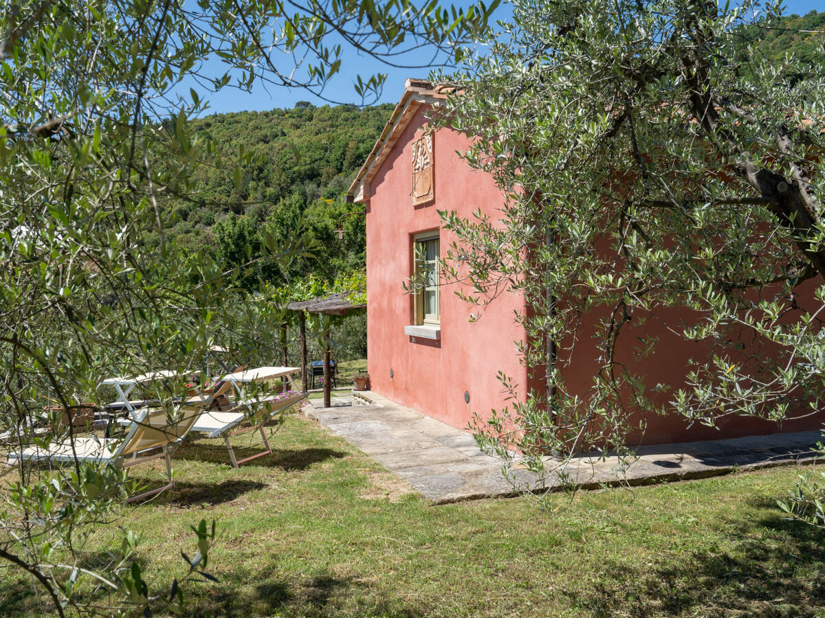 Nido del Sorbino - Maison rustique Castiglion Fiorentino - Photo 15