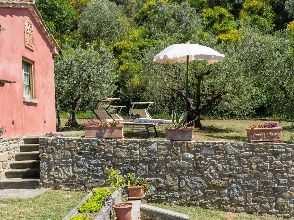 Nido del Sorbino - Maison rustique Castiglion Fiorentino - Photo 22