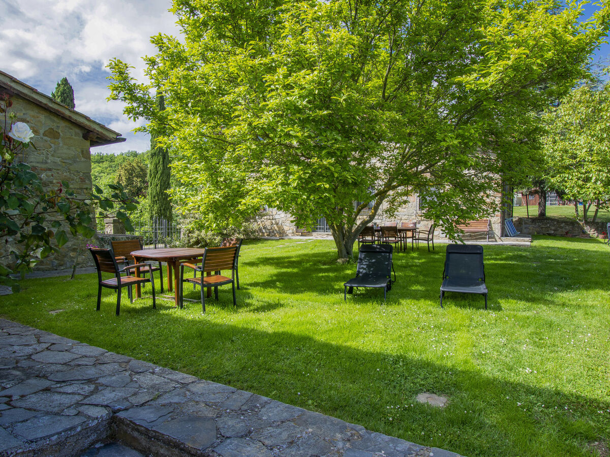 Il Casellino – Gîte 6 pers. en domaine agricole - Photo 26