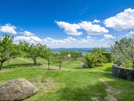 Il Casellino – Gîte 6 pers. en domaine agricole : photo 28