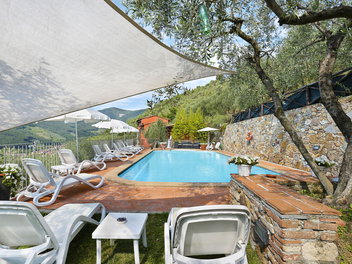 I Limoni, gîte 6 pers. avec piscine à Buti - Photo 18