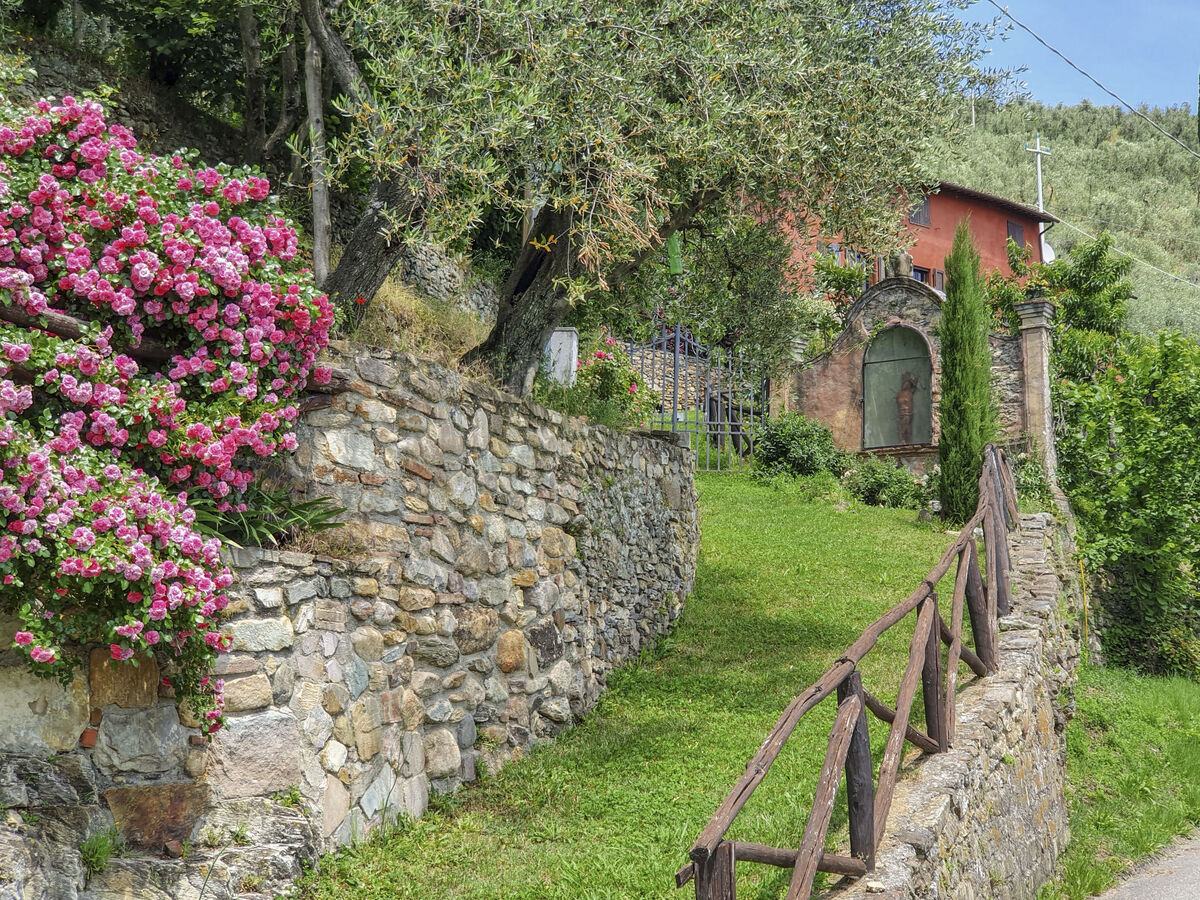 I Limoni, gîte 6 pers. avec piscine à Buti - Photo 20
