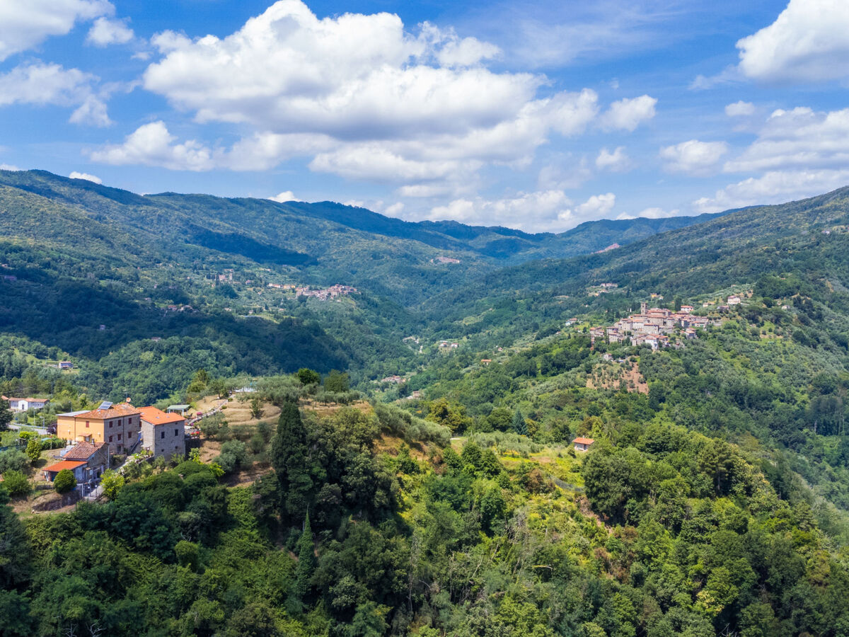 Poggetto Pellegrini, maison 6 pers. à Pescia - Photo 60