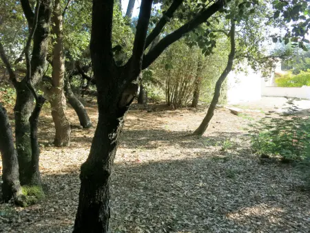 Maison Les Algues à La Tranche-sur-Mer, à 600 m de la mer : photo 17