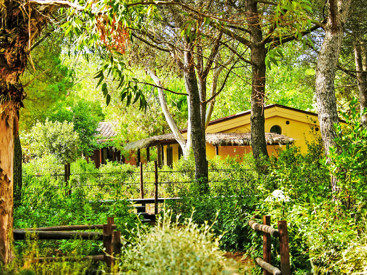 Tipo A – Cottage 2 pièces près de la mer à Castiglione - Photo 2