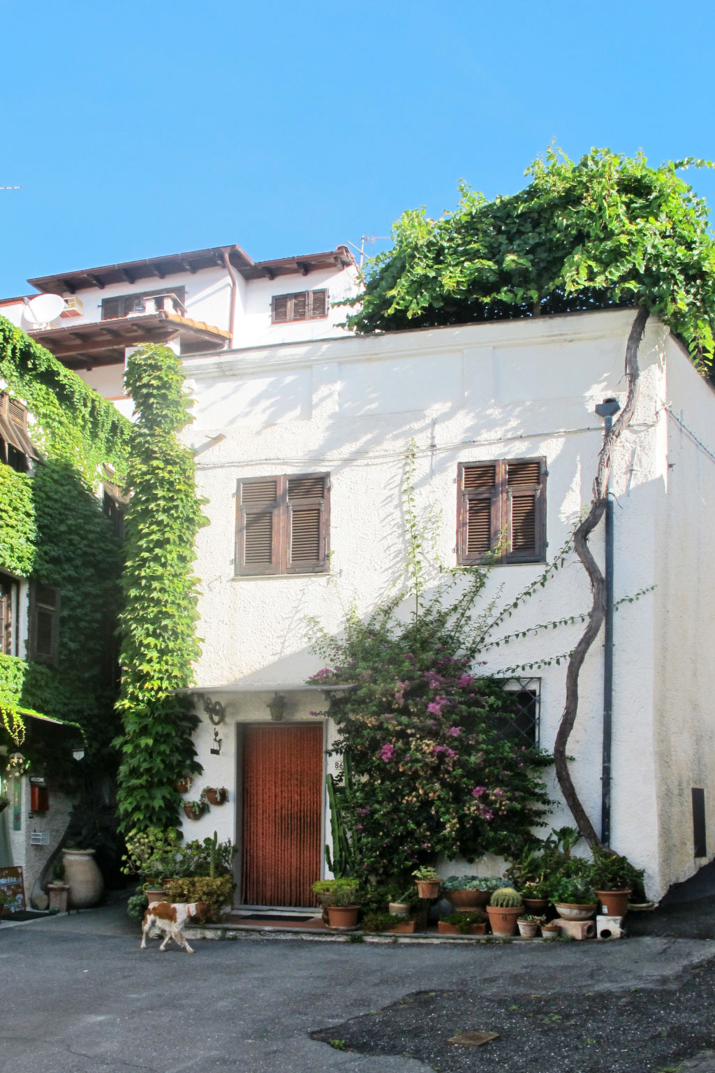 Casa Massabovi, ancien moulin du 19e siècle à Imperia - Photo 26