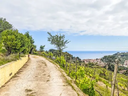 Bungalow Le Terrazze del Geco, vue mer à San Lorenzo - Photo 47