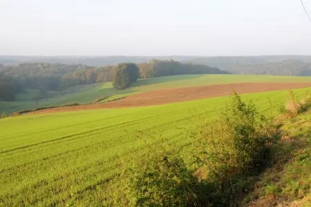 Le Pré en Bulles – Gîte 9 personnes, nature et confort : photo 10