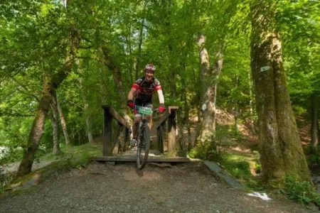 Le Pré en Bulles – Gîte 9 personnes, nature et confort : photo 13