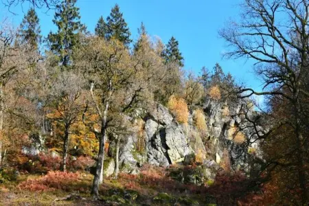 Le Pré en Bulles – Gîte 9 personnes, nature et confort : photo 16