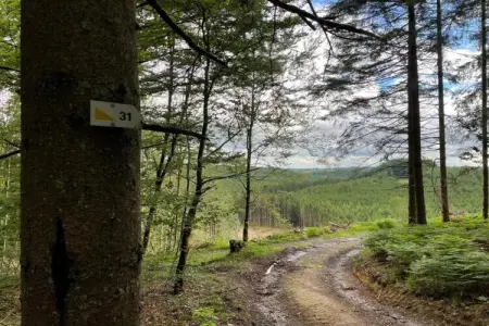 Le Pré en Bulles – Gîte 9 personnes, nature et confort : photo 23