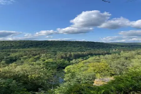 Le Pré en Bulles – Gîte 9 personnes, nature et confort : photo 24