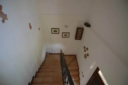 Casa Uva : maison 6 pers. à 10 km de l'Adriatique : photo 13