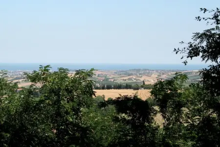 Casa Uva : maison 6 pers. à 10 km de l'Adriatique : photo 20