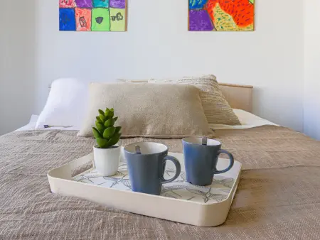 Appartement 48 m² à Nice, quartier des Musiciens : photo 15