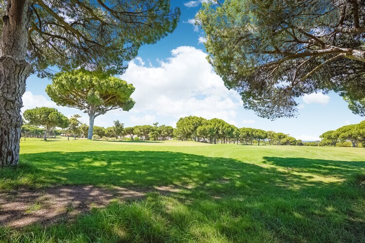 Villa Vivenda Puro avec piscine privée à Vilamoura - Photo 30