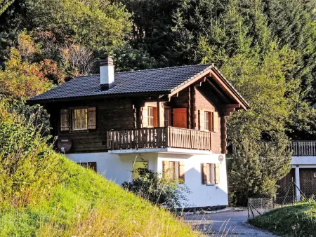 Location chalet de vacances à Moléson sur Gruyères
