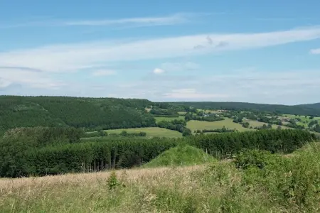 Tolifaz, Ferme Desnié avec piscine - Photo 29