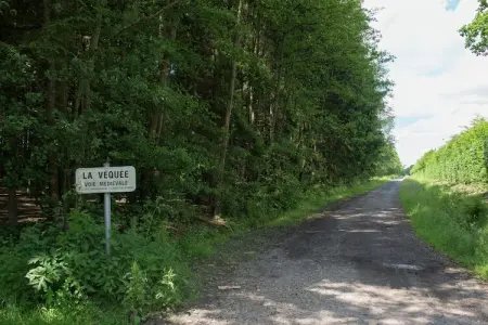 Tolifaz, Ferme Desnié avec piscine - Photo 31