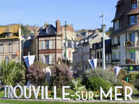 Appartement Trouville-sur-Mer, 300 m de la plage, 51 m² : photo 18