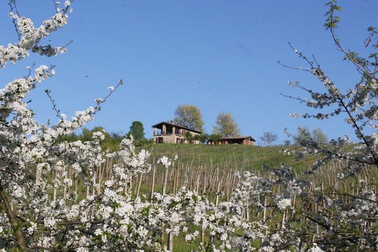 Villa Casa Magnano Ziano – Vue 360° sur les vignes - Photo 6