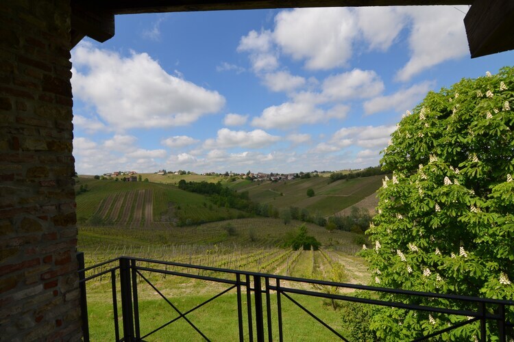Villa Casa Magnano Ziano – Vue 360° sur les vignes - Photo 31