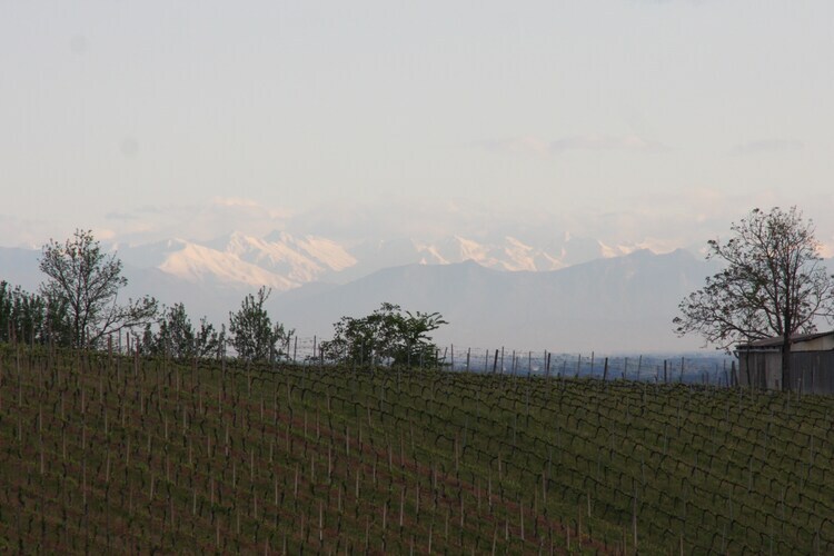 Villa Casa Magnano Ziano – Vue 360° sur les vignes - Photo 32