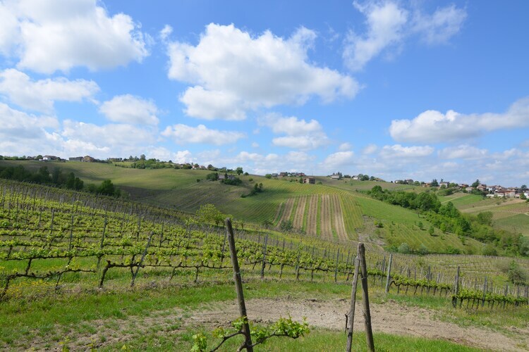 Villa Casa Magnano Ziano – Vue 360° sur les vignes - Photo 37