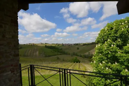 Villa Casa Magnano Ziano – Vue 360° sur les vignes : photo 31