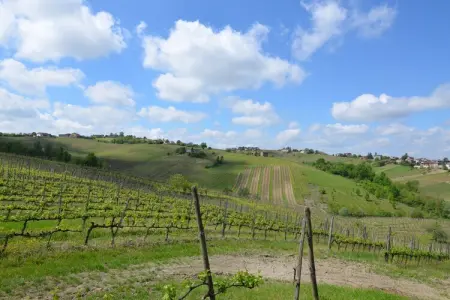 Villa Casa Magnano Ziano – Vue 360° sur les vignes : photo 37