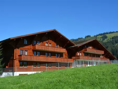 Location appartement à Gstaad, Anne (2. Stock) Appartement/Fewo, Dusche oder Bad, WC 12-Bettwohnung