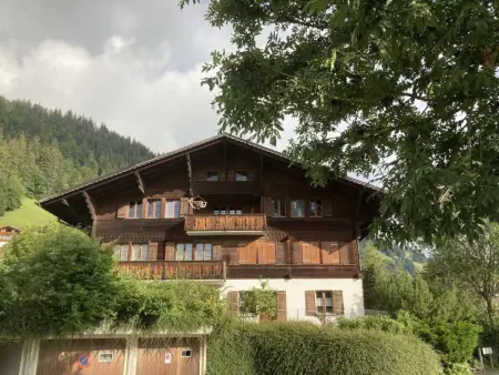 Akelei (klein), Appartement 4 personnes à Zweisimmen - Photo 1
