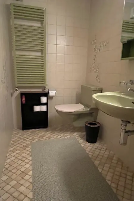 Akelei (klein), Appartement 4 personnes à Zweisimmen - Photo 14