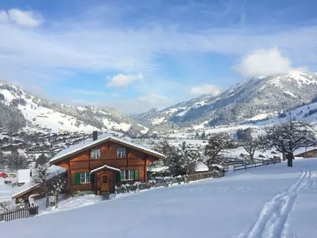 Halten, Appartement 4 personnes à Zweisimmen - Photo 16