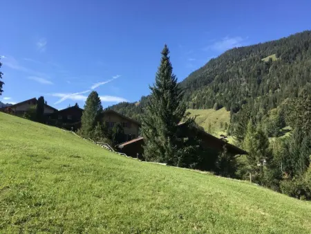 Halten, Appartement 4 personnes à Zweisimmen - Photo 17