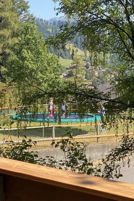 Halten, Appartement 4 personnes à Zweisimmen - Photo 20