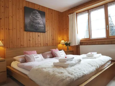 Halten, Appartement 4 personnes à Zweisimmen - Photo 27