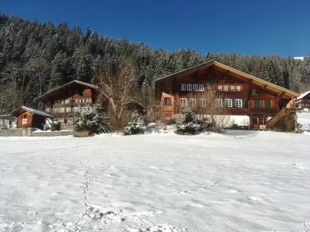 Location appartement de vacances à Zweisimmen