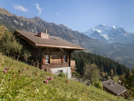 Location chalet à Wengen