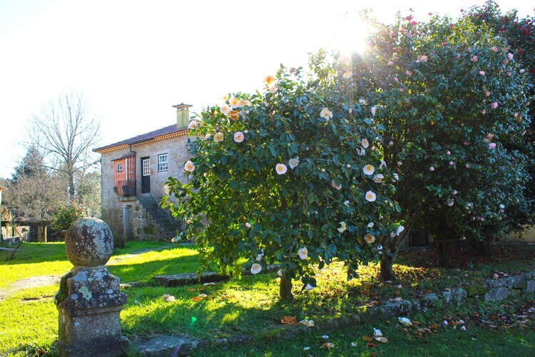 Casa da Adega, gîte rural avec piscine près de Ponte de Lima - Photo 30