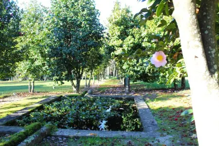 Casa da Adega, gîte rural avec piscine près de Ponte de Lima : photo 25