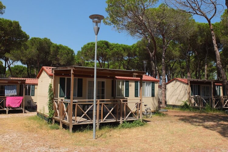 Luna Pineta : chalet 4 pers. en forêt, chiens bienvenus - Photo 1