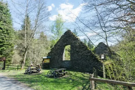 Le Gîte Familial : maison 32 personnes à Mellier : photo 38