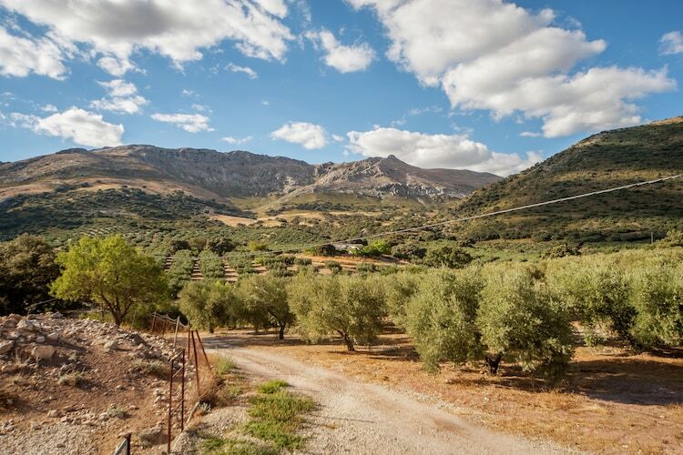 Cortijo El Llano – Maison 12 pers. avec piscine privée - Photo 29