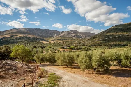 Cortijo El Llano, Manoir avec piscine privée dans un parc naturel - Photo 28