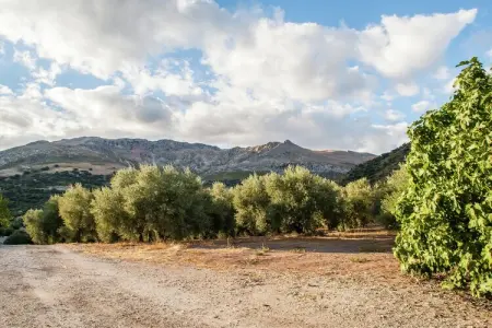 Cortijo El Llano, Manoir avec piscine privée dans un parc naturel - Photo 29