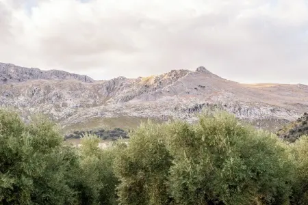 Cortijo El Llano, Manoir avec piscine privée dans un parc naturel - Photo 30