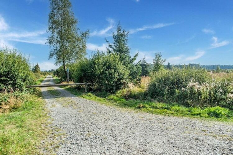 Les Pâturages 1 - Gîte 14 pers. avec sauna - Photo 29